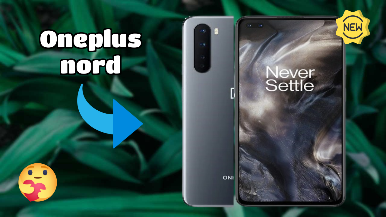 OnePlus Nord कैमरा टेस्ट: 48 MP + 8 MP + 5 MP + 2 MP Rear Camera सैंपल शॉट्स